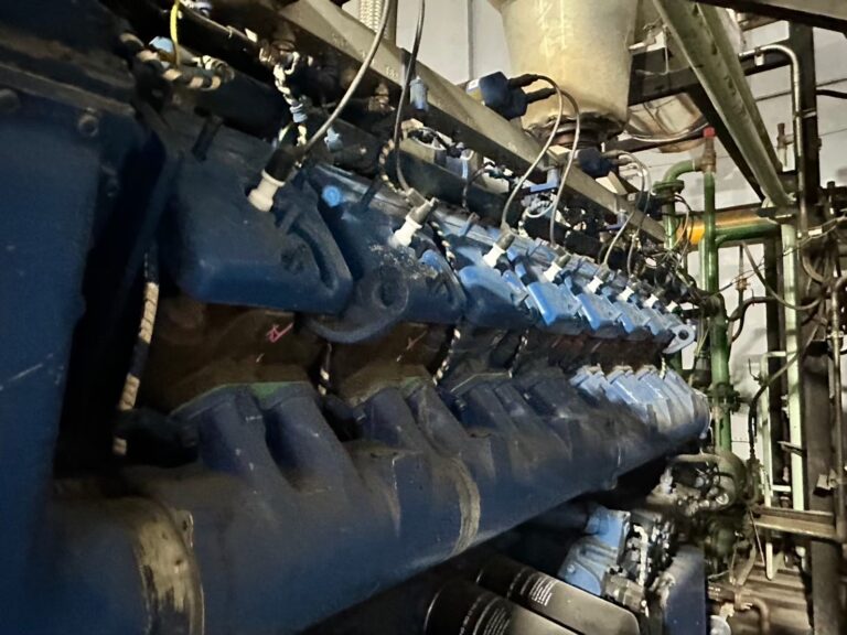 6d994dfd D50a 44df Ac62 A266f1c47d2c